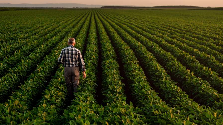 Biologicals Data That Talks to Ag Retailers