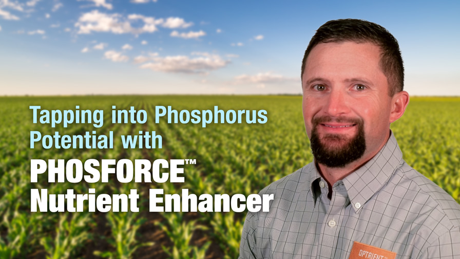 Tapping into Phosphorus Potential with PHOSFORCE™ Nutrient Enhancer