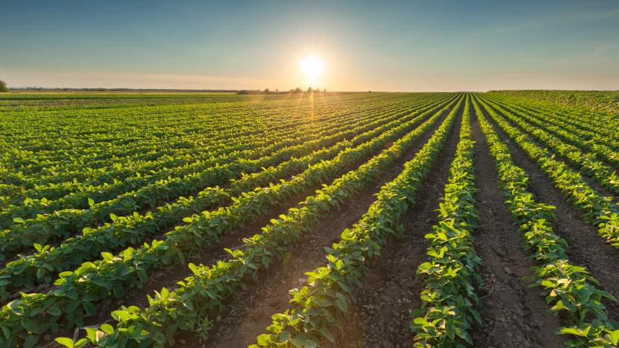 Quercus Biosolutions Closes Oversubscribed $5 Million Seed Round to Build a New Category of AI-Designed Crop Protection