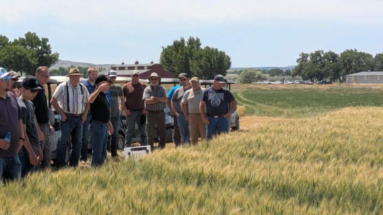 SBT customers gathered at a crop field in Montana