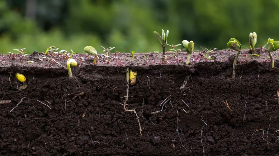 Nitrogen Aids Proliferate As Innovation Targets Efficiency, Loss Reduction