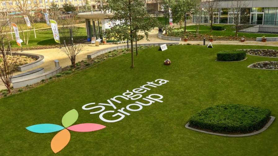 Syngenta Group Delivers Resilient 2025 Results with Double-Digit EBITDA Growth