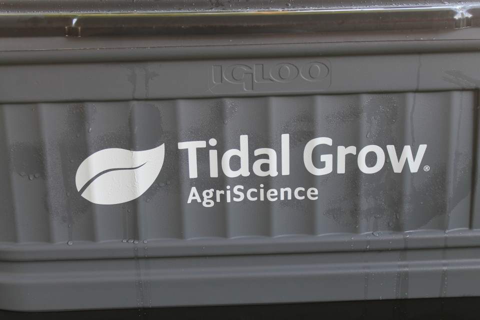 Tidal Grow
