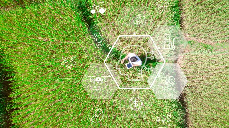 Beyond Yield Maps: Why In-Season Data Collection Matters More Than Ever