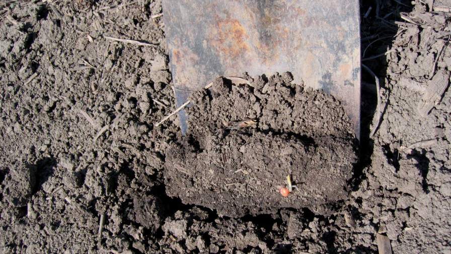 Ready for the Row: Strategies for Spring Field Preparation and Fertility