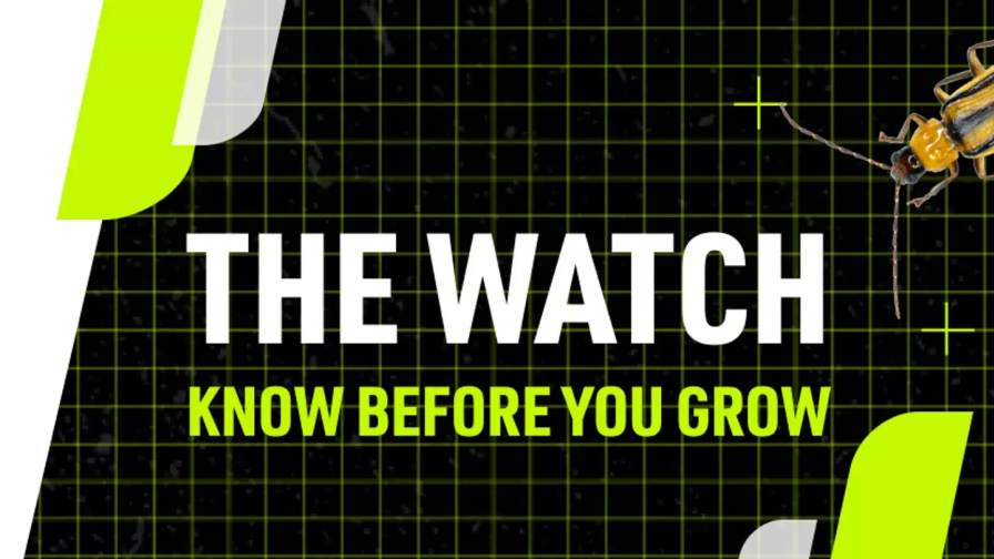 Understand Your Corn Rootworm Pressure: Bayer Launches The Watch 2026