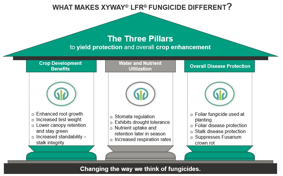 The Three Pillars to yield protection and overall crop enhancement