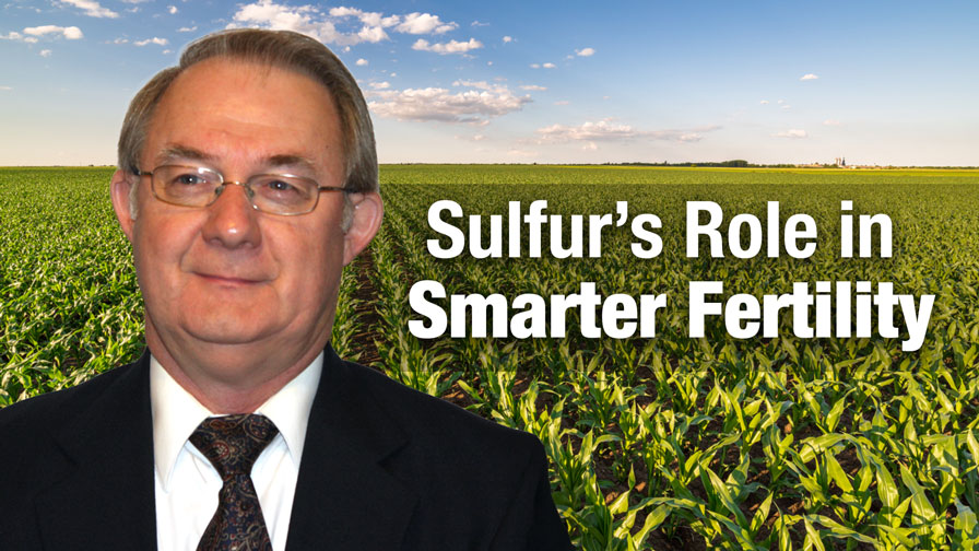 Sulfur’s Role in Smarter Fertility