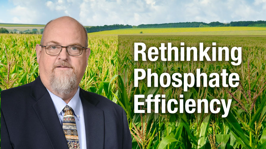 Rethinking Phosphate Efficiency