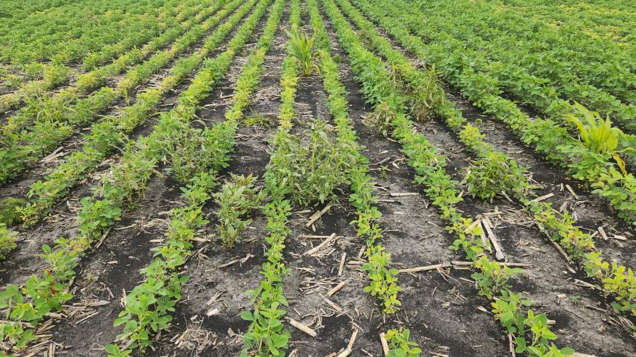 How to Protect Your Growers’ Seed Investment This Year