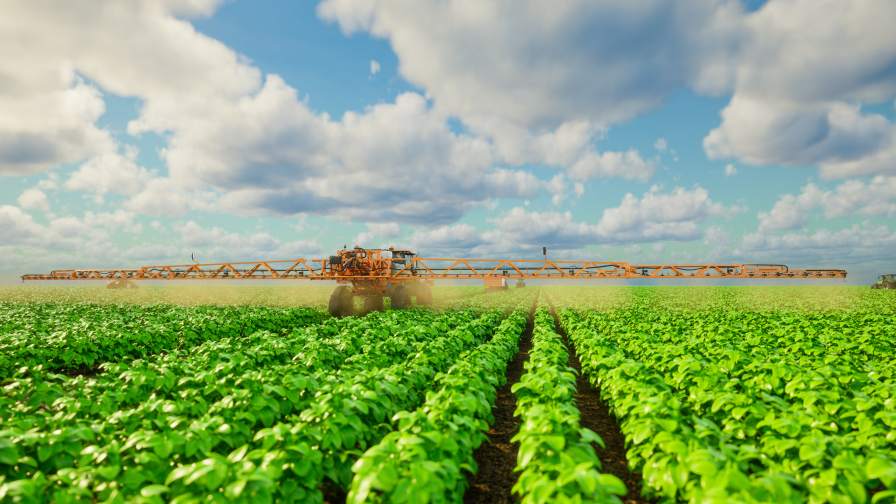 Coming Attractions for Bioherbicides