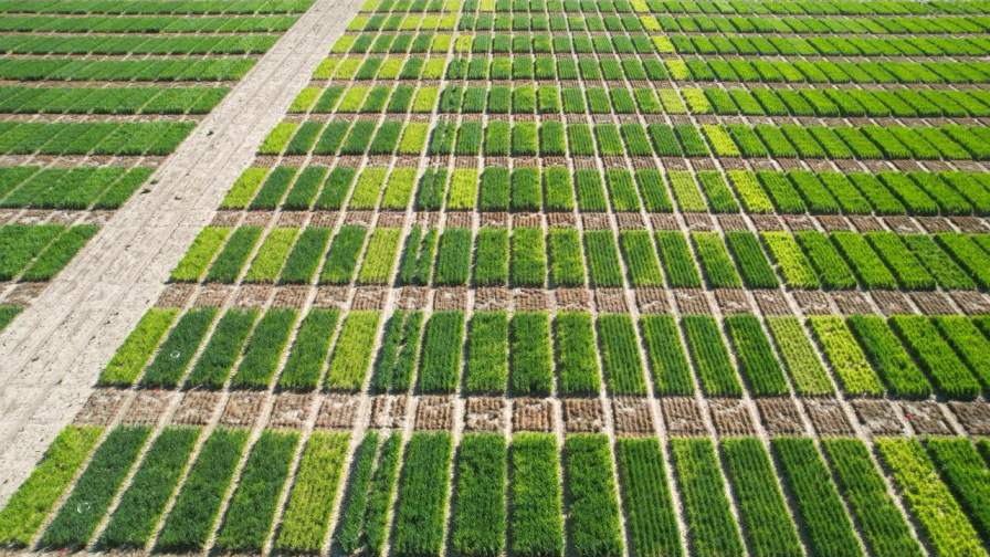 BIOTROP Gains Traction in U.S. Market, Reaches $1.3 Million in First Year of Sales