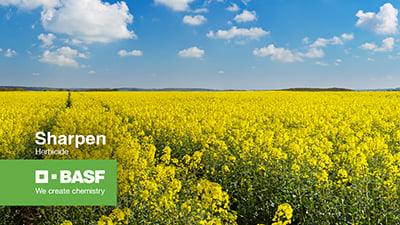 Can One Herbicide Simplify Harvest Aid and Desiccation Programs?