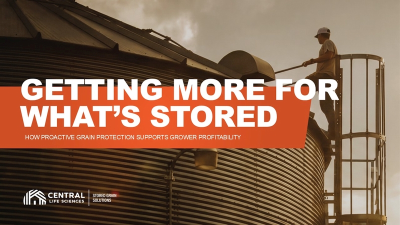 Get More for What You Store