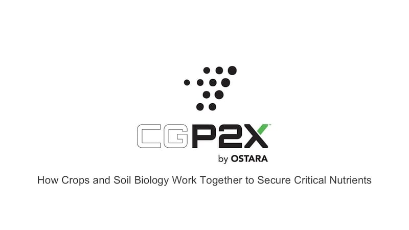 Nutrient Efficiency Starts with Biology: Why Phosphorus Availability Matters