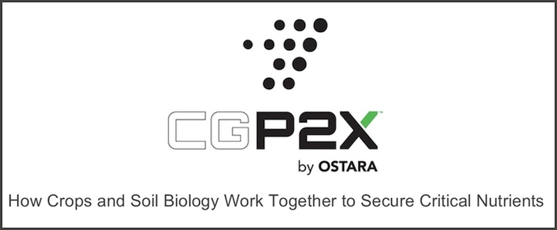 How Do Crops and Soil Biology Work Together to Secure Critical Nutrients