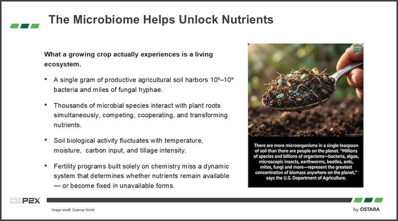 The Microbiome Helps Unlock Nutrients