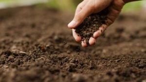 Huma Enters Granular Fertilizer Market
