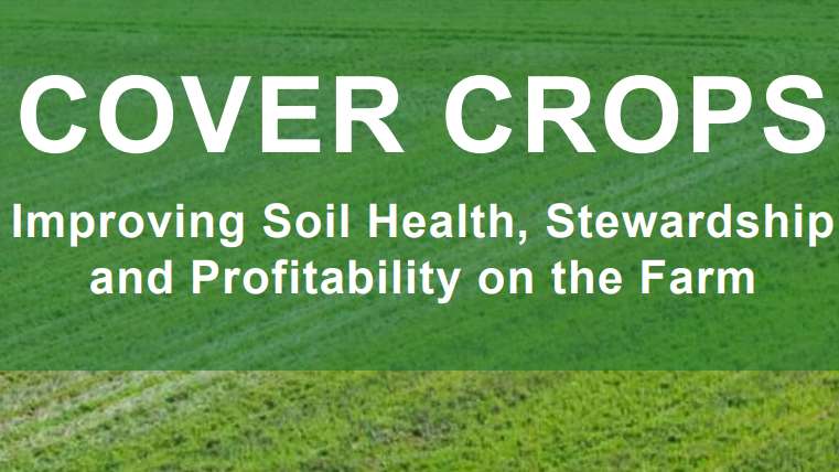 New SARE Handbook on Cover Crops Offers In-Depth Management Advice