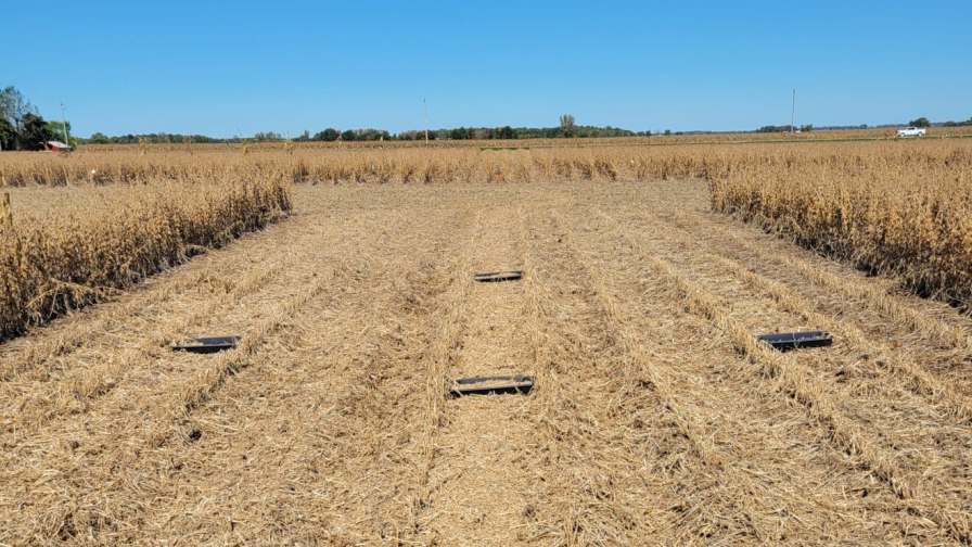 Researchers Investigate If Herbicides and Chaff Lining Work Together