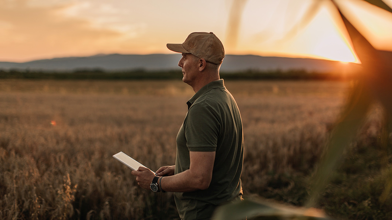 Helping Growers Build Stronger Lending Relationships