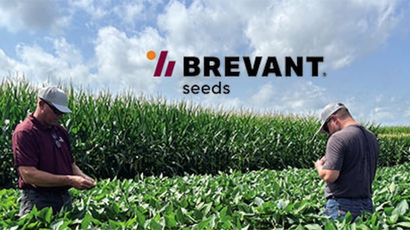 Consistency Tells a Compelling Seed Story
