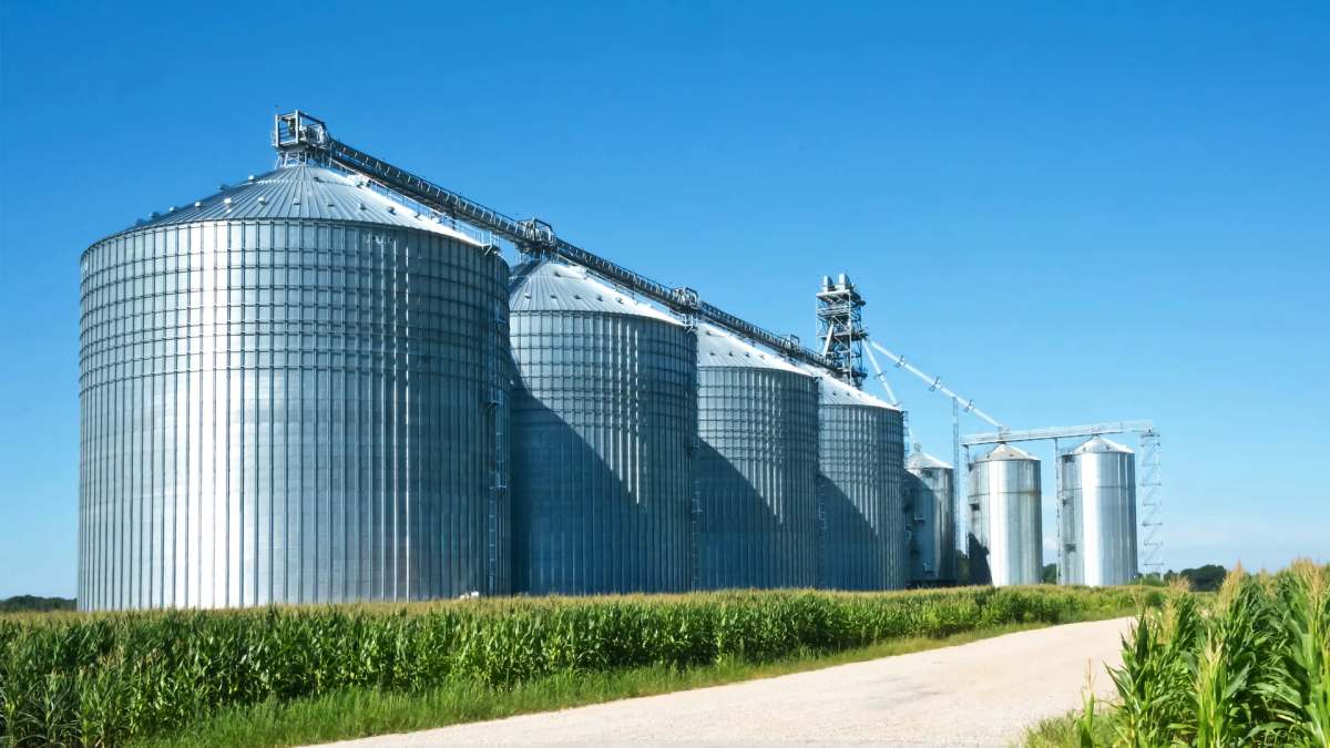 Grain Merchandisers Face Higher Costs, Larger Risks and Increased Volatility