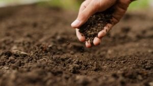 Viridis View to Launch at Sustainable Ag Summit to Track Progress for Regenerative Agriculture