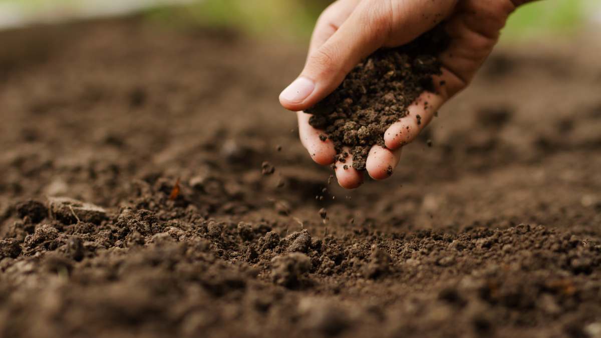 Viridis View to Launch at Sustainable Ag Summit to Track Progress for Regenerative Agriculture