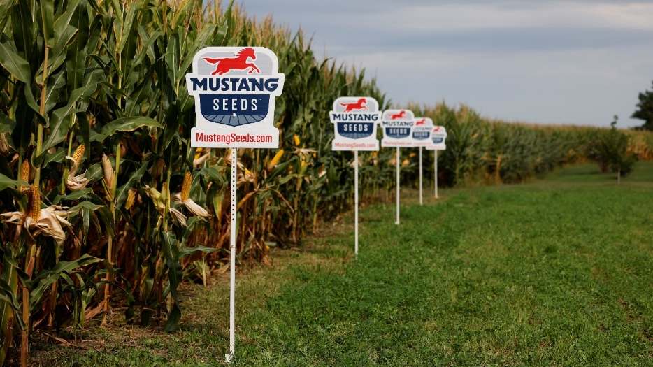 Put Test Plot Data to Work in Your Seed Strategy