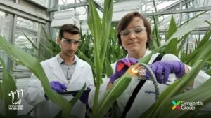 Syngenta Named Agriculture’s Leading Employer by Science Magazine for 10th Successive Year