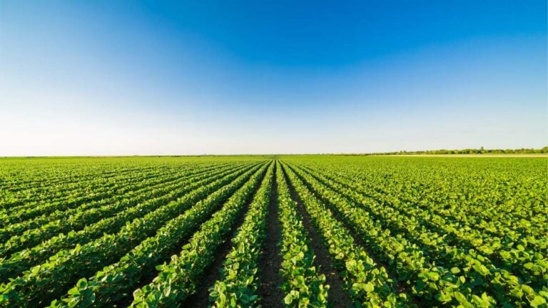 Dave Flakne of Syngenta Honored with Two Prestigious Agriculture Leadership Awards