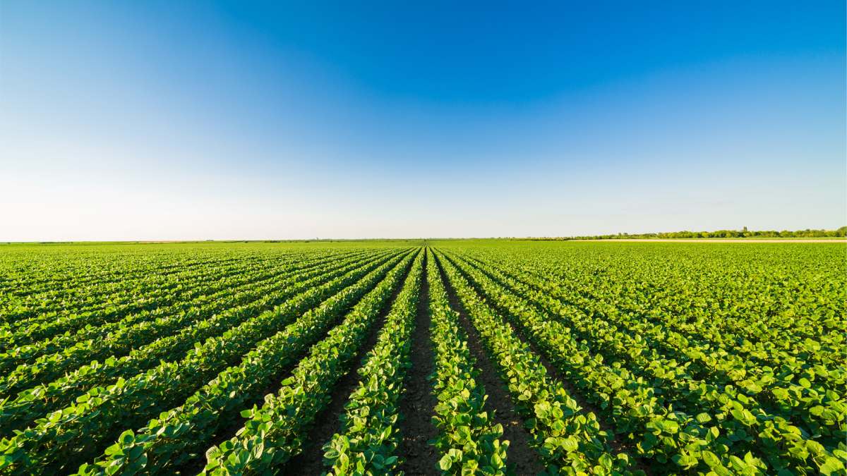 Dave Flakne of Syngenta Honored with Two Prestigious Agriculture Leadership Awards