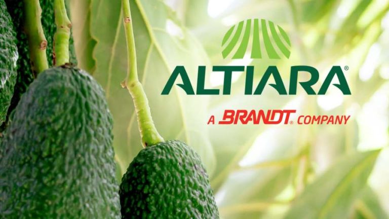 altiara-announcement-2026-1080x1350